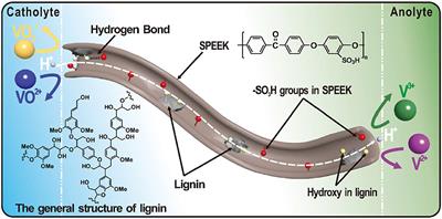 Ion Selectivity and Stability Enhancement of SPEEK/Lignin Membrane for Vanadium Redox Flow Battery: The Degree of Sulfonation Effect